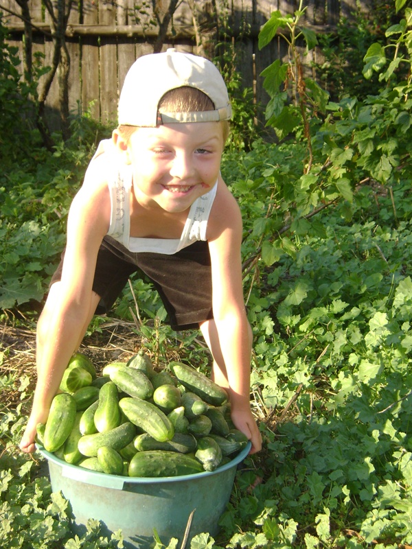 Вот какой богатый урожай у нас!.JPG